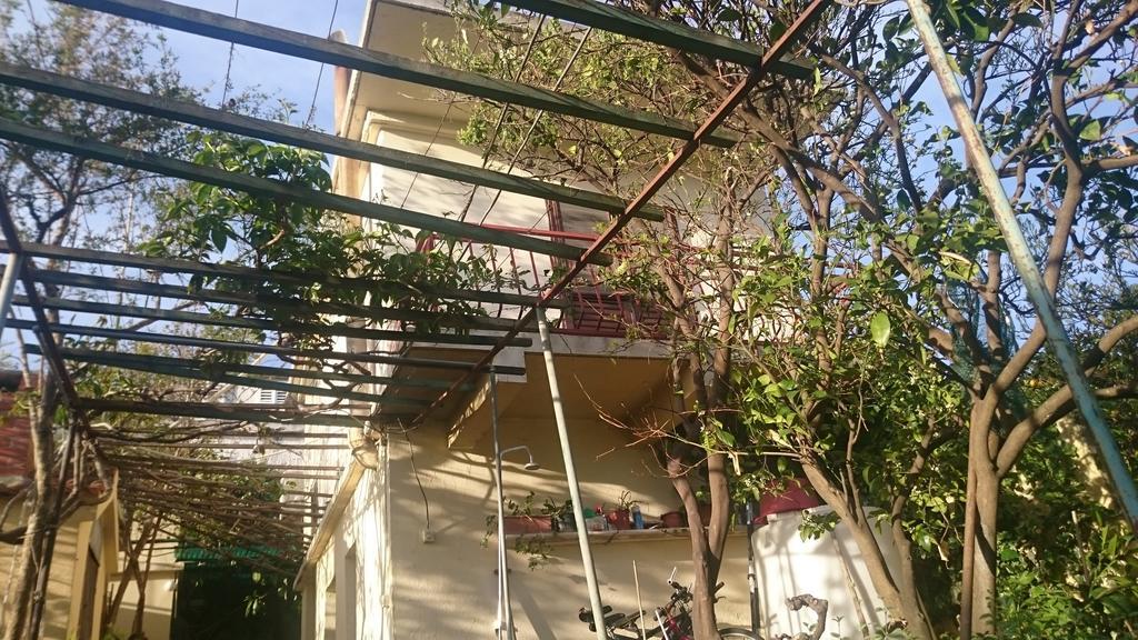 Apartments Petkovic Kuciste Pokoj fotografie